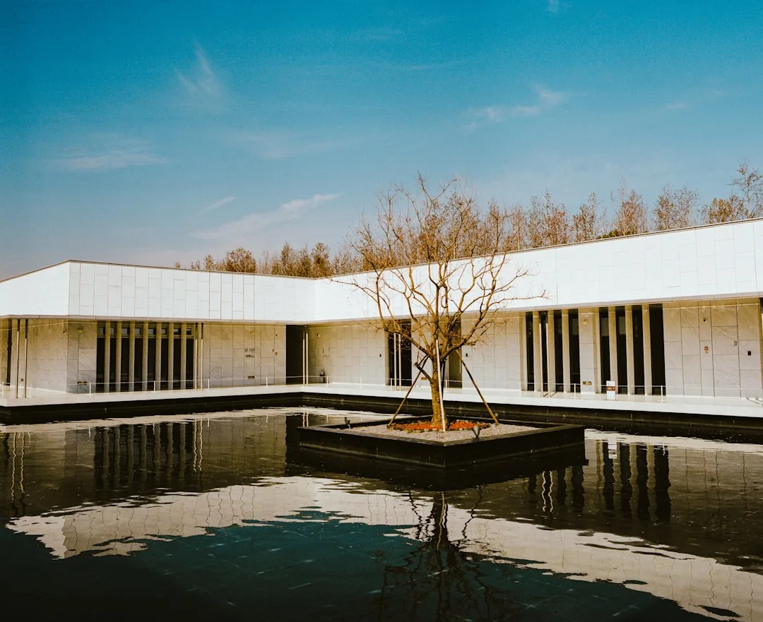 Quiet, reflective support environment